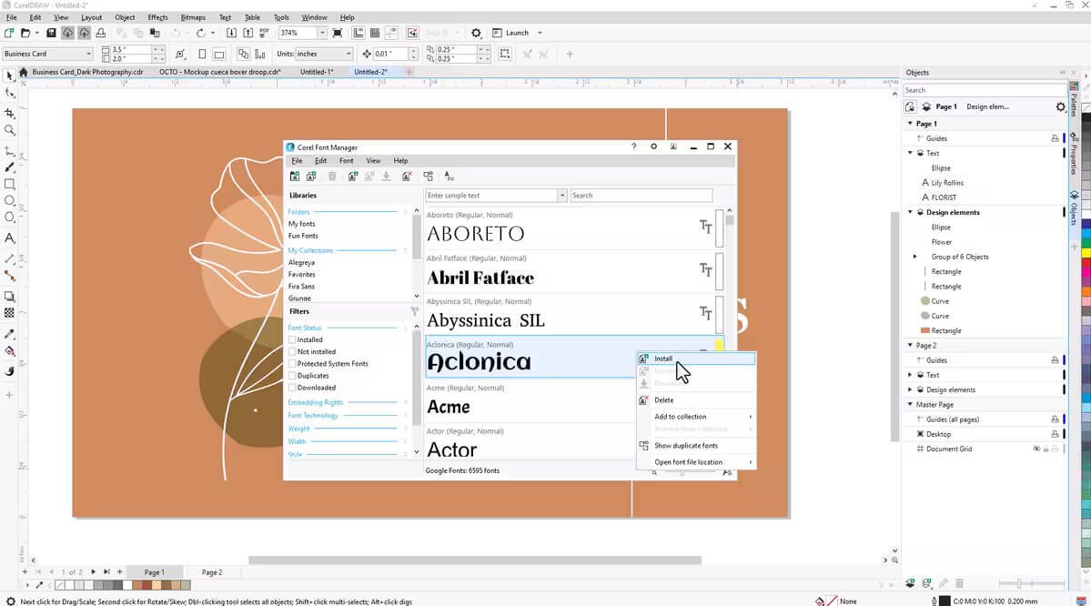 CorelDRAW Graphics Suite 2025 Setup